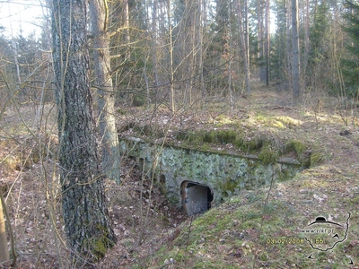 tl398